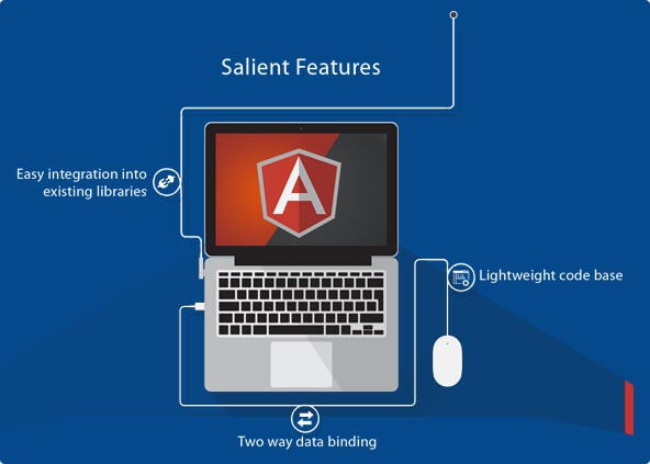 angular js development service