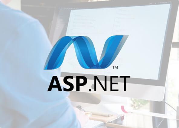 asp.net web development services