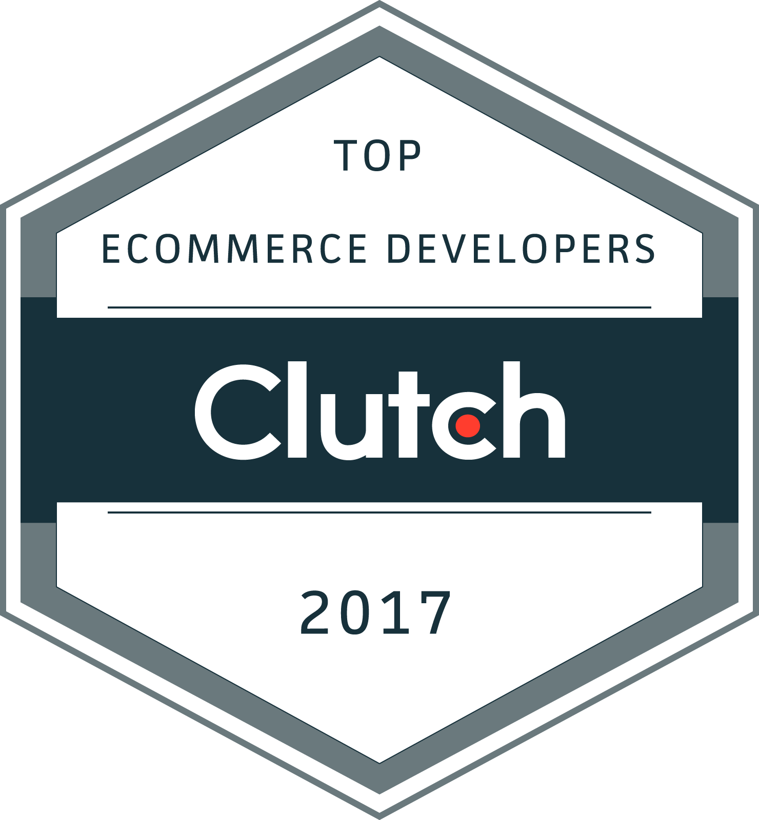 Top Ecommerce Developers