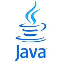 java web development services