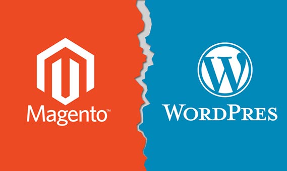 Magento vs. WordPress: Choosing Better eCommerce Development Platform