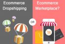 Ecommerce Dropshipping or Ecommerce Marketplace