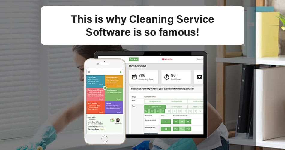 Cleaning Business Software