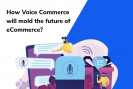 Voice Commerce and the future of eCommerce