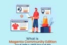 Magento eCommerce web development