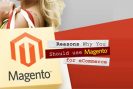 Reasons to Opt for Magento for your Ecommerce Website Development